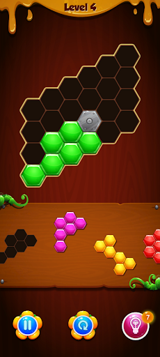Hexa Shape Puzzle ekran görüntüsü