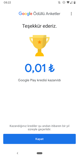 Google Ödüllü Anketler ekran görüntüsü