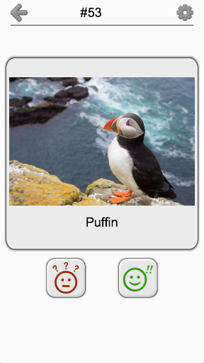 Bird World - Famous Birds Quiz ekran görüntüsü