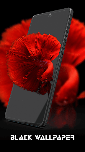 Black Wallpapers Background 4K ekran görüntüsü