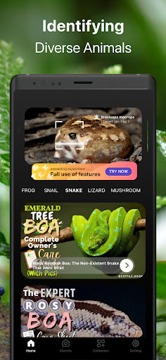 Frog Identifier Reptile ID ekran görüntüsü