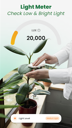 Plant Identifier: Tips & Care ekran görüntüsü